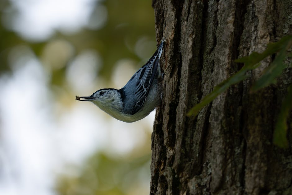 檢查乳房:從權威視角帶你輕鬆認識自我檢查的重要性