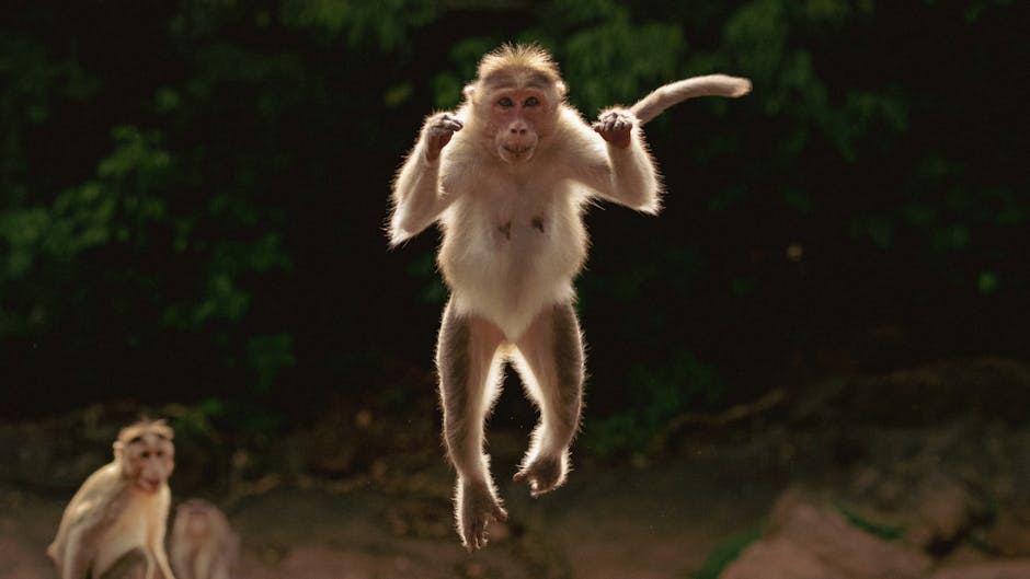 產後護理的重要性與核心原則