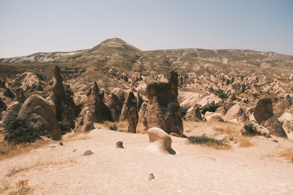 藍十字旅遊保險:讓你的旅程多一層安心的好夥伴