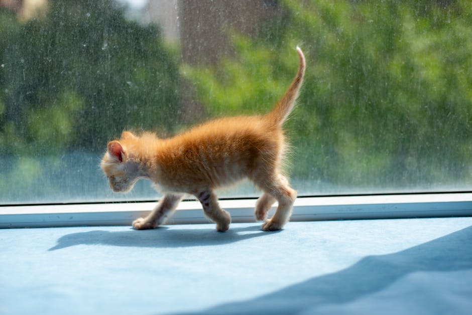 產後護理:新生命背後的嚴肅使命