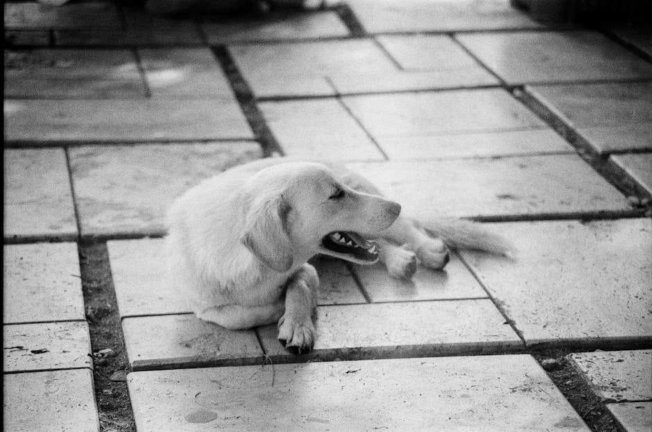 驗樓清單:你不可錯過的檢查秘笈